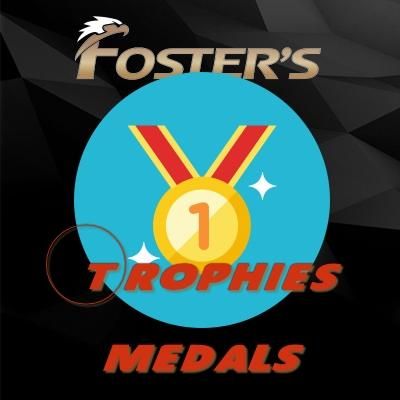 فارسی ساز برنامه Trophies and Medals